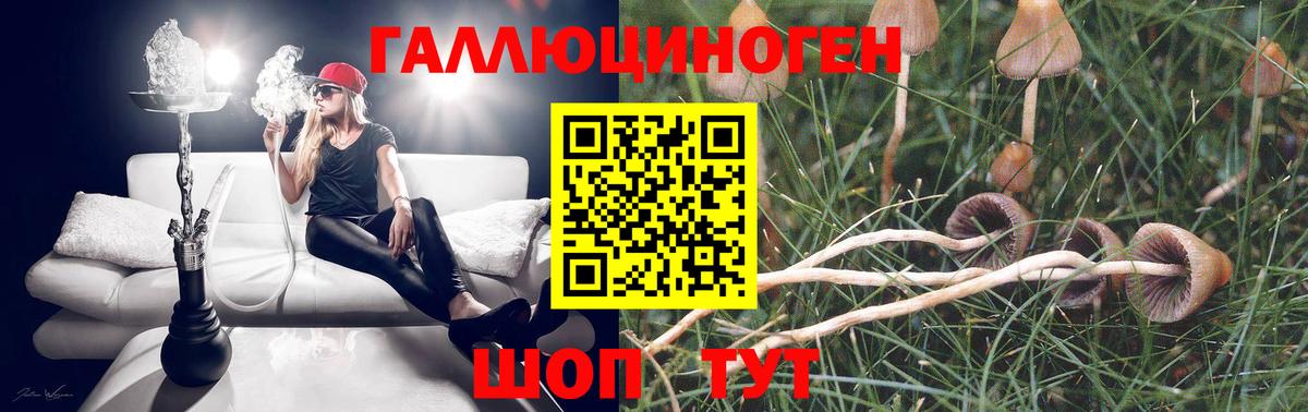 Майский  Галлюциногенные грибы Psilocybine cubensis  Вход с VPN 
